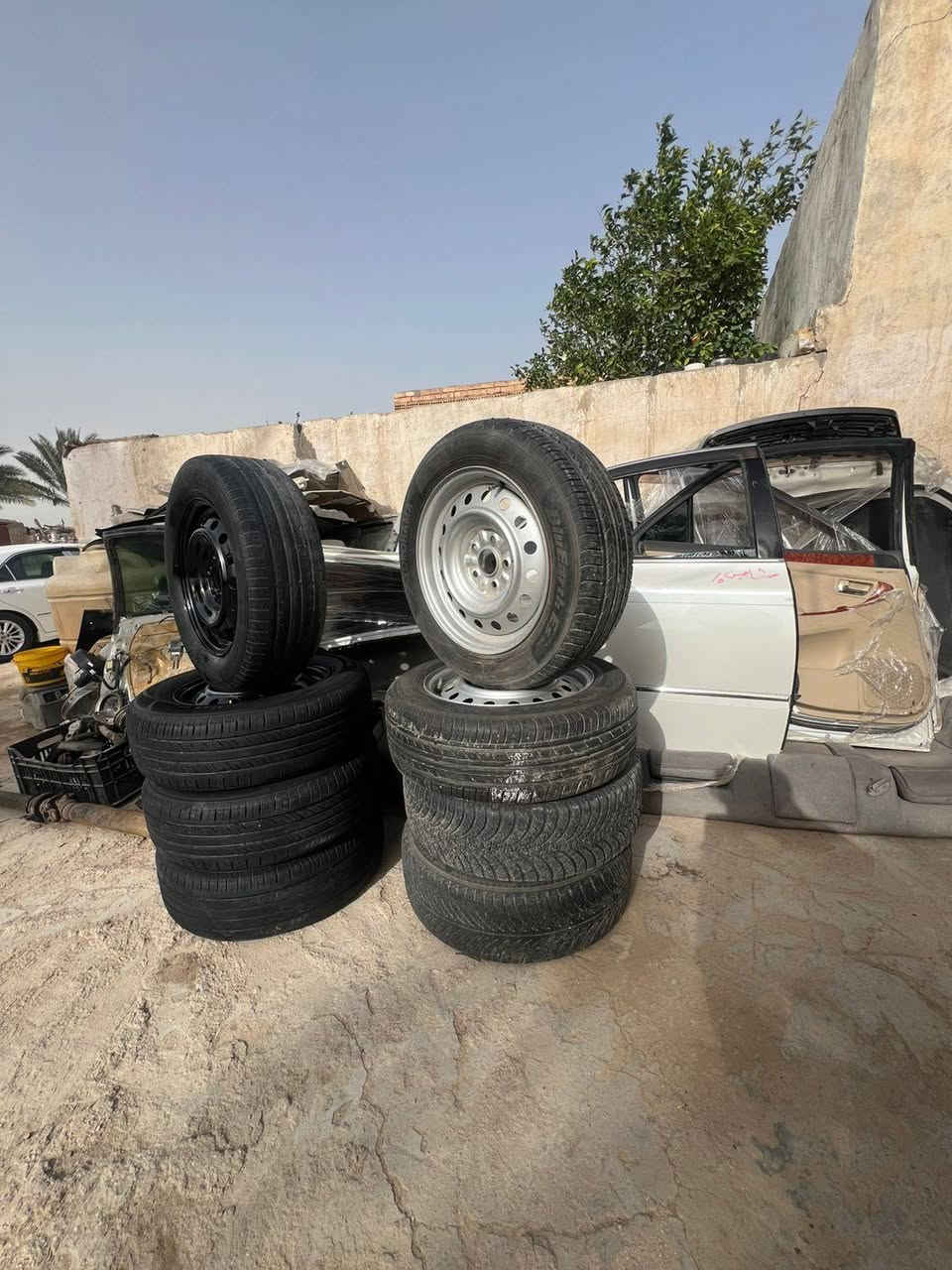 تخم ويل شاهينه 16بي تايرات زوج جدد
تخم ويل راس ثور ملكه 15بي زوج تايرات جدد
***********
مگلف بنشر
