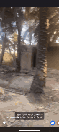 سلام عليكم 5 دونم واقع حال اكثر من 6 دونم 
العنوان بغداد الراشديه حي المهندسين 
5 دونم سند تحويل مباشر ثاني يوم تفتح بيان 
خدمات كامله ماء كهرباء صايره عله شارعين امامي خلفي الارض جدا ممتازه وموقعه كلش حلو 
ترهم سكن او شاليهات او مزارع منتجه 
كافه انواع النخيل متوفر بيه 
السعر جدا مناسب 
للاستفسار *********** 
متوفر واتساب ايضا
