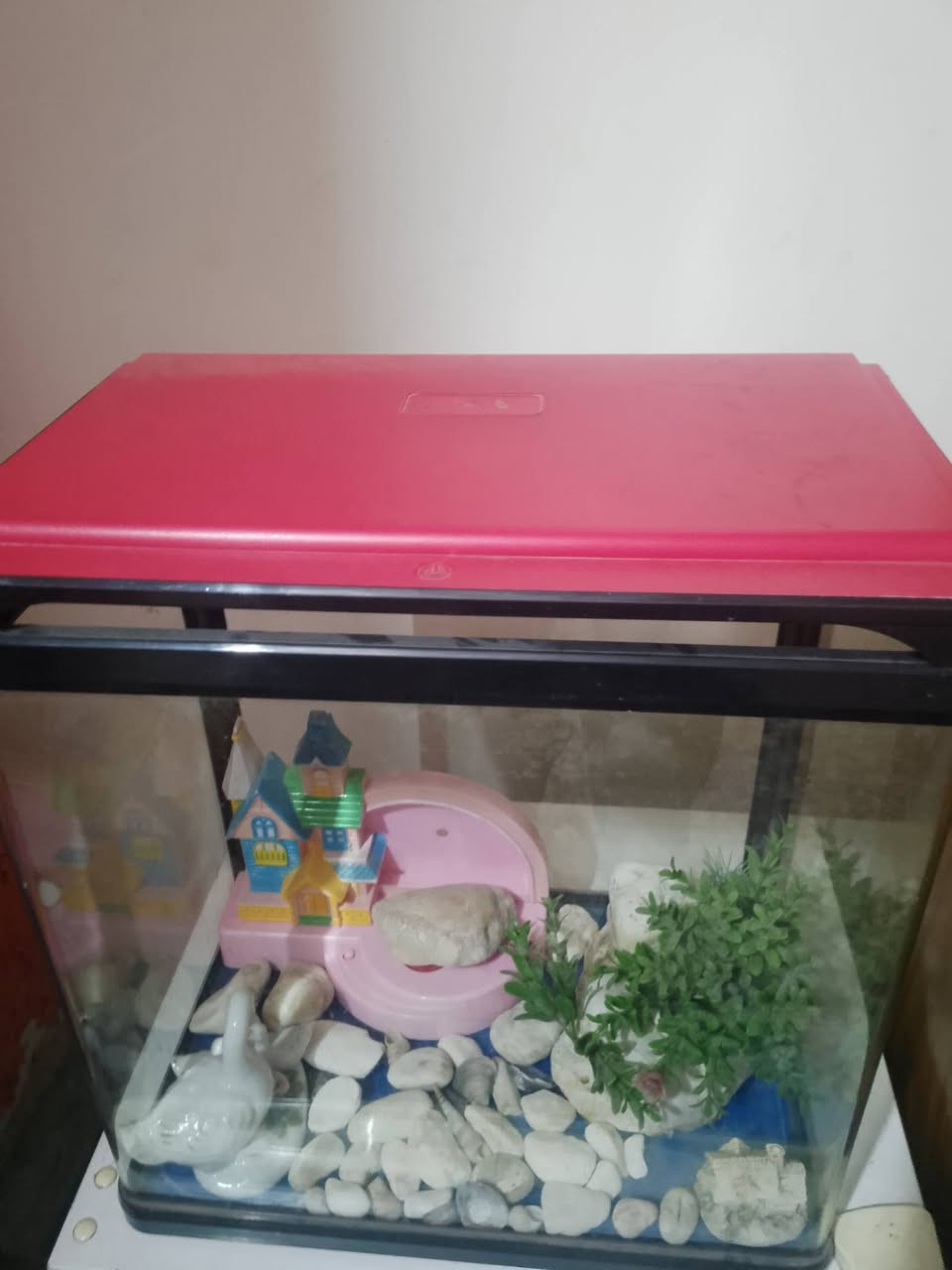 حوض أسماك للبيع


**إذا كنت صاحب هذا الإعلان وتريد حذفه لأي سبب، رجاءا أرسل رسالة إلى الدعم الفني**