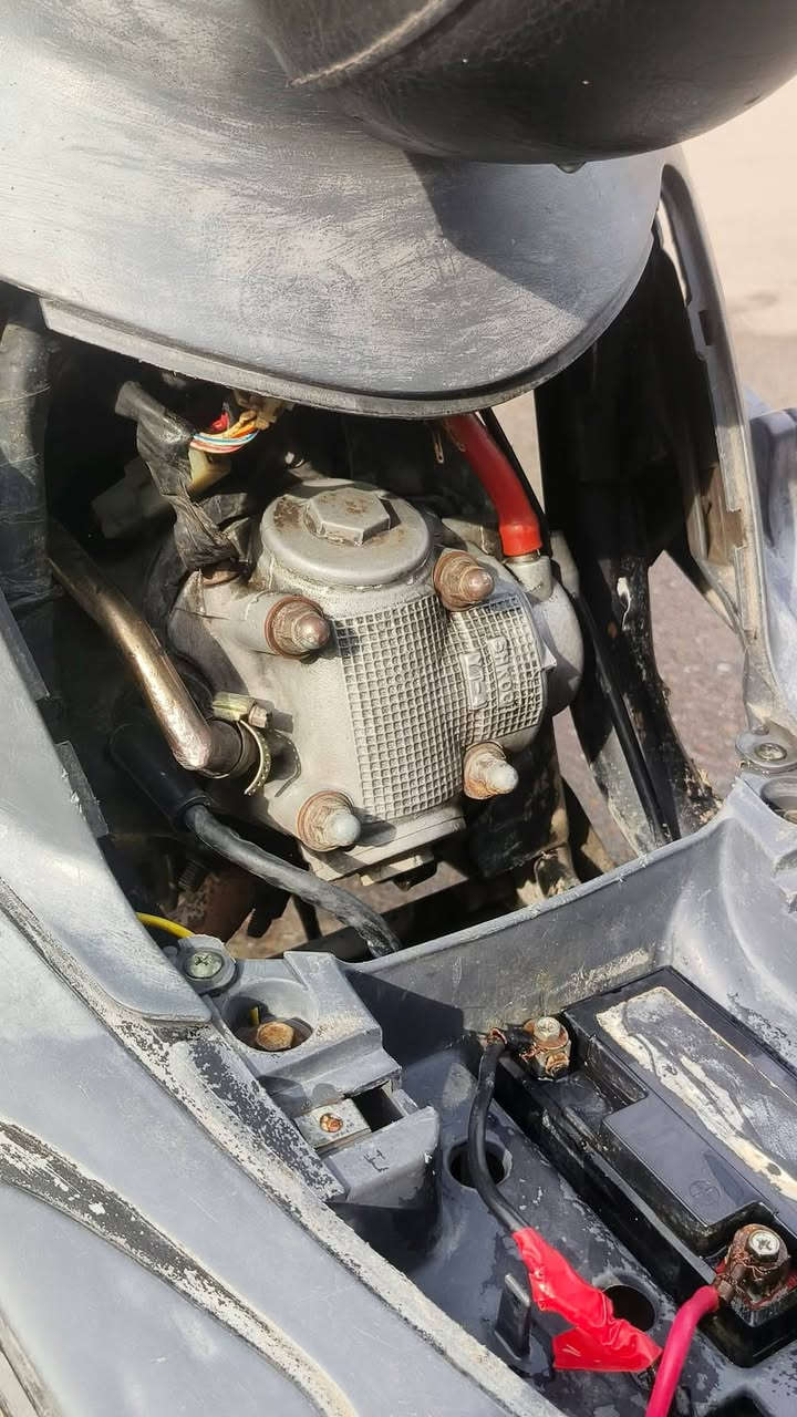 السلام عليكم ماكس منغولي دراجه بلاديه كلش حلوه ناعمه  الدراجه خير من الله كبل للشارع سعر 425 وبيها مجال المكان الحسينيه مال راشديه بيع ومراوس بدراجه حلوه


**إذا كنت صاحب هذا الإعلان وتريد حذفه لأي سبب، رجاءا أرسل رسالة إلى الدعم الفني**