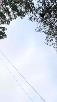 سيراتو 2012 رقم اربيل فول عده الفتحة اشاير بل مري تحكمات أربعة دسك خمس...