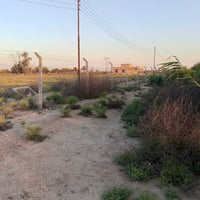 فرصه مميزة لتملك عقاراً 🏡 🔹مساحه العقار ٥ دونم   🔹جنس العقار : طابو سن...