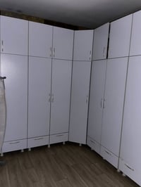 كنتور أبيض • دائري • زعفرانية