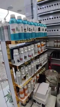 زيوت أصلية • جوفيدان • شارع النواب