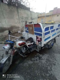 ستوتة • موديل 17 • كدام العين