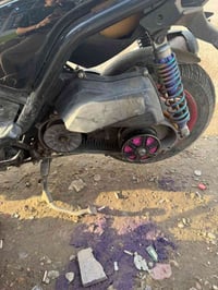 جبلي • نضيفه • مدينه الصدر