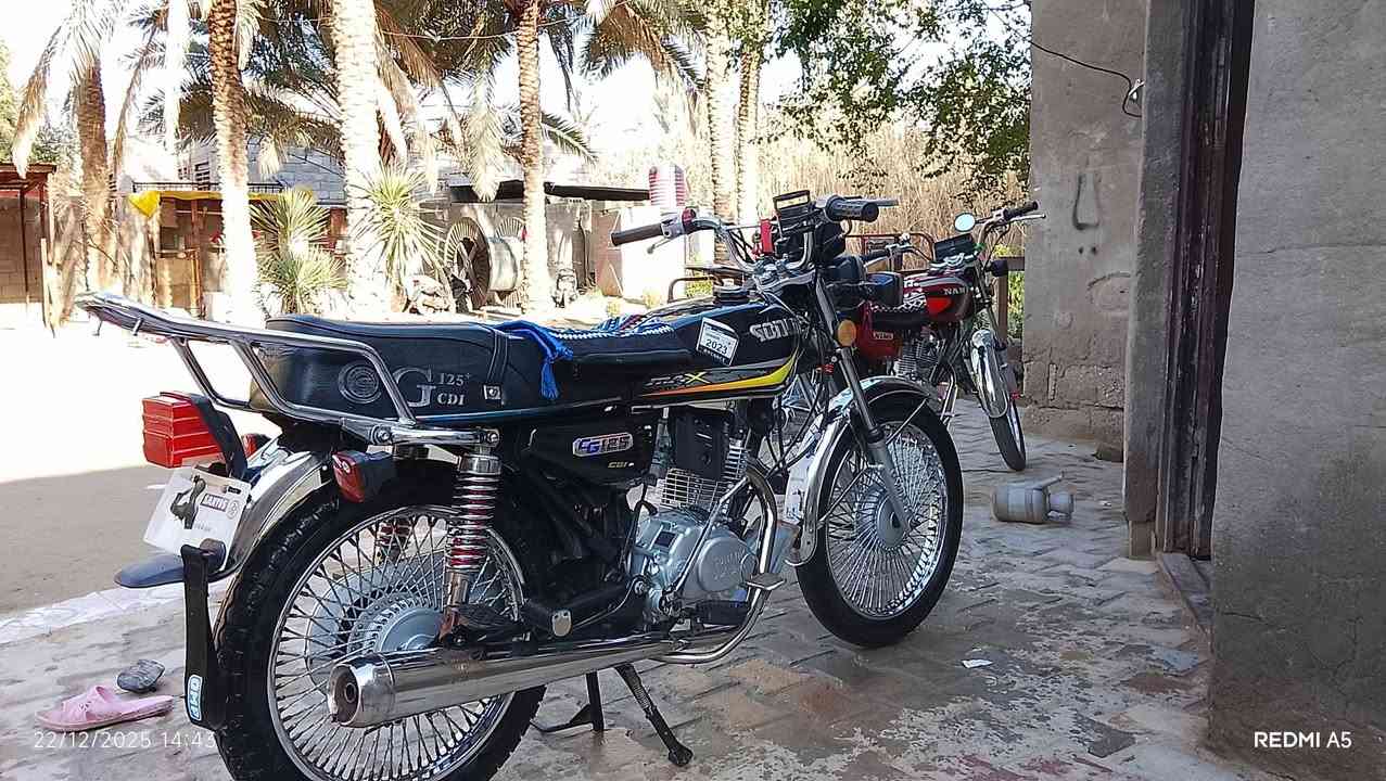 البيع دراجه تايكر جديدة حيل وكامله وكله شغاله مكينه كفاله مامفتوحه الدراجة انضف من  الصوره موديل 2023 المكان كربلاء الأمام عون السعر 550 وبيه مجال بسيط الرقم ***********
