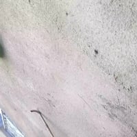 البصره القبله • حي الجامعة • أغراض شخصية