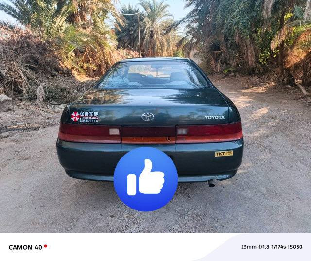 السلام عليكم
شيزر نفخ موديل ٩٤ لون زيتوني 
صبغ جماليه مامبولشه بعدها كفاله عامه لا صربه ولا كص
كير مكينه جدد ونجي 
كهربائيات كلها شغاله 
تبريد ثلج بدون ضرر وتبديل 
رقم قادسيه انكليزي مداور ثاني يوم
  السعر ٦٢ و بيه مجال مكاني بابل ناحيه الطليعة
***********
