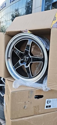 مقاس واحد • لكل شاهين • سليمانية ترمينال