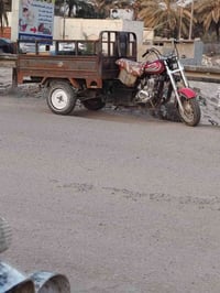 ستوته • للبيع • مكفوله