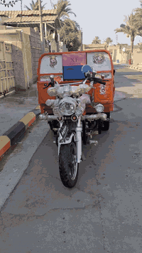 ستوته • موديل ٢٤ • اوراق اصولي