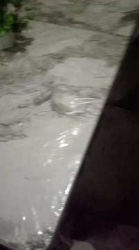 طقم طعام فخم • استعمال نظيف • رميثة