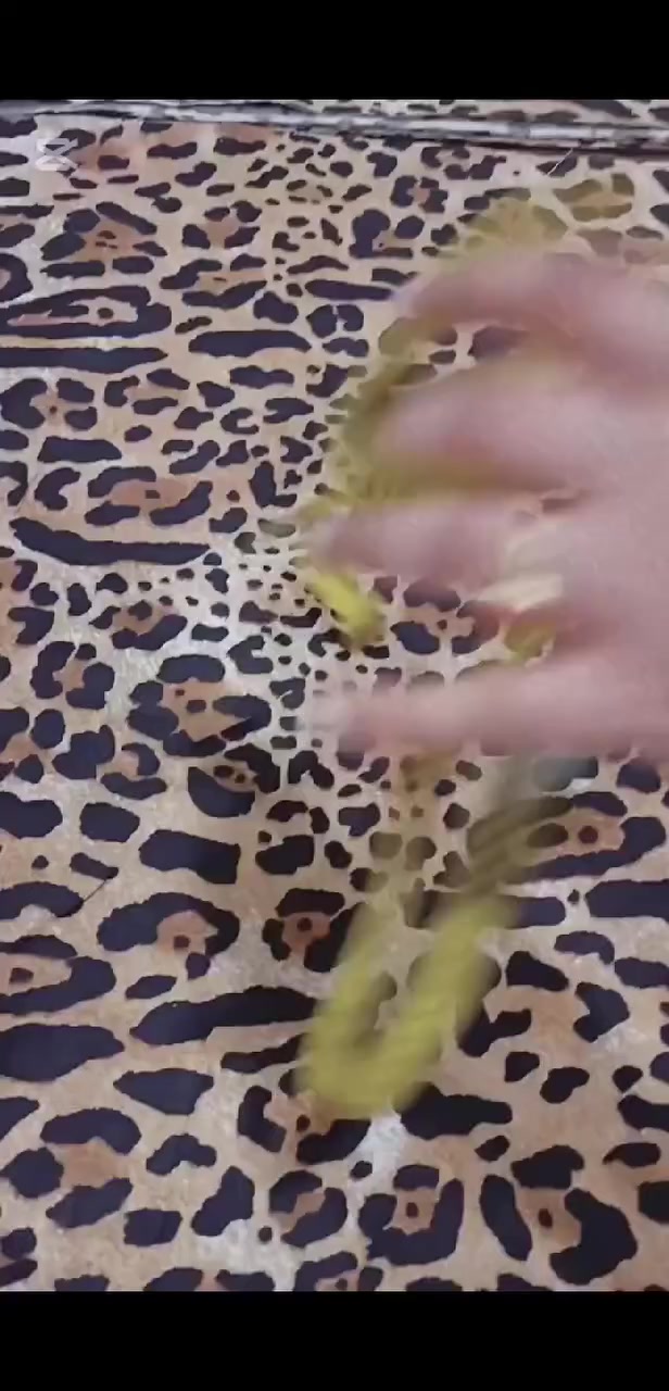 العيد يعني تايكر 🐆
الف عافيه كلبي ❤️🤎🐆
يوجد توصيل داخل وخارج واسط 🤎


**إذا كنت صاحب هذا الإعلان وتريد حذفه لأي سبب، رجاءا أرسل رسالة إلى الدعم الفني**