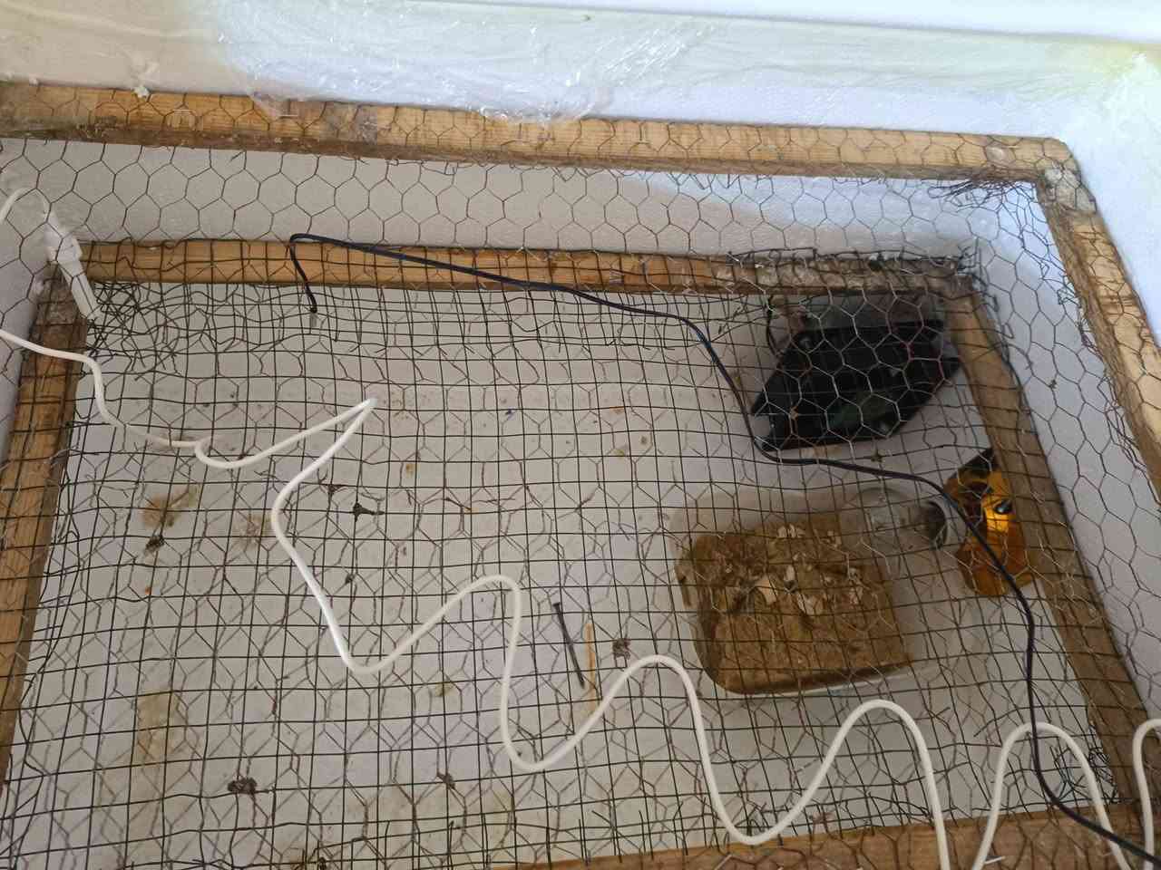 فقاسه عدد 150بيضه
مفقس بيه مره وحده نسبت التفقيس بيه كلش عاليه المكان الرفاعي السعر60الف


**إذا كنت صاحب هذا الإعلان وتريد حذفه لأي سبب، رجاءا أرسل رسالة إلى الدعم الفني**