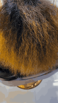 سنتر لوزان • مجمع الزمرد • تسريحة عروس