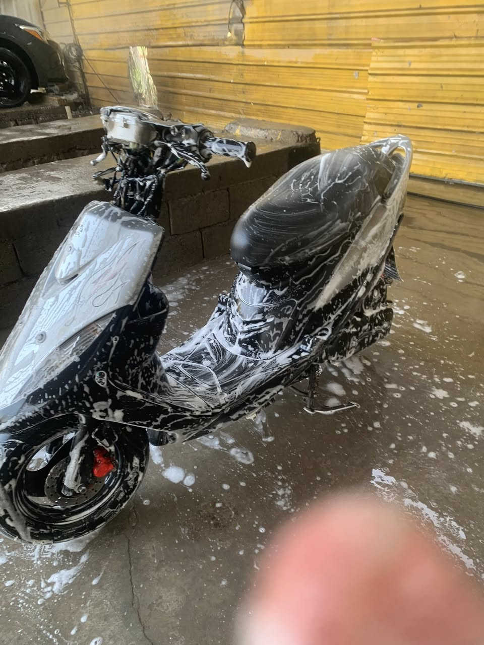 ماكس عدله كفرات بلاد نقصه بس كصه دراجه كله بلاديه نكره سلف وهندر بيه رقم فحص موقت وسستم دراجه مرتبه مكاني الجزيره سعر 550 وبيه مجال رقمي ***********
