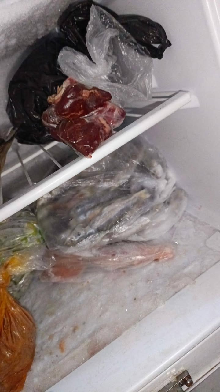 400وبي مجال هواي


**إذا كنت صاحب هذا الإعلان وتريد حذفه لأي سبب، رجاءا أرسل رسالة إلى الدعم الفني**