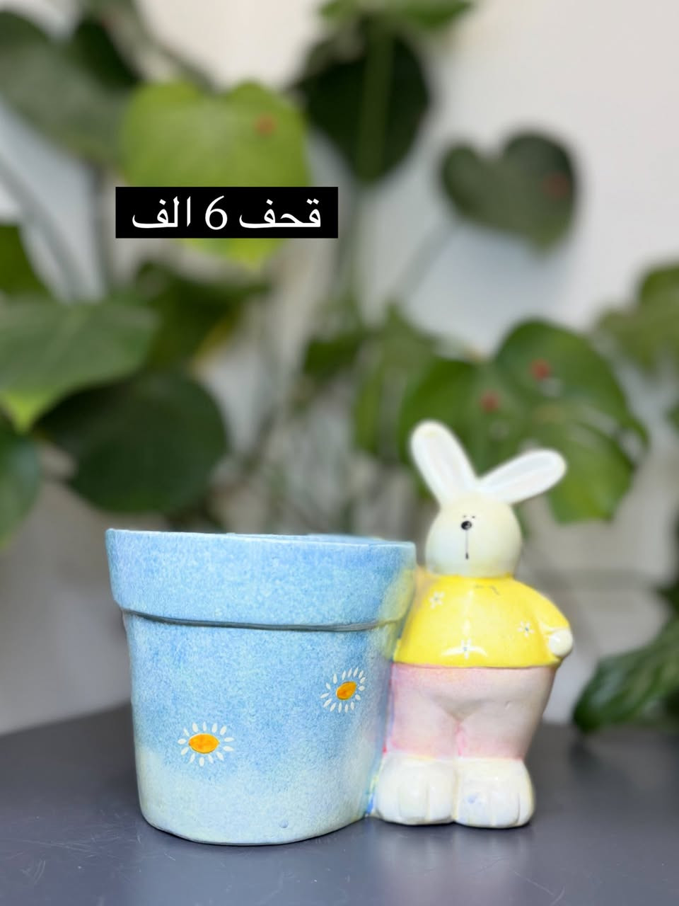 متوفر توصيل كل محافضااااات


**إذا كنت صاحب هذا الإعلان وتريد حذفه لأي سبب، رجاءا أرسل رسالة إلى الدعم الفني**