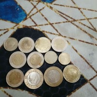 شلعة • ١٢ قطعة • ابيض