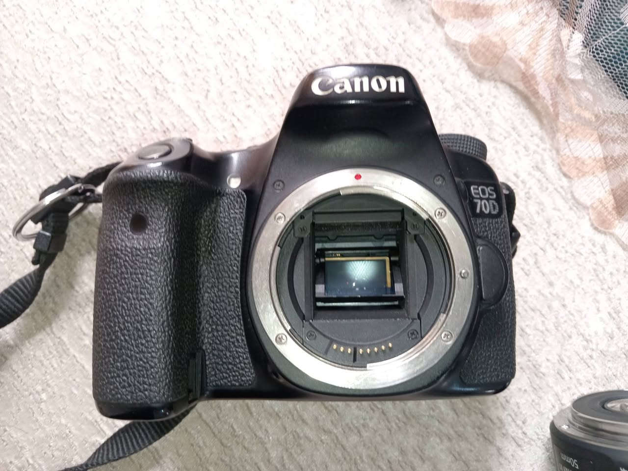 السلام عليكم
كاميرا كانون d 70 نظيفه استخدام قليل جدا
عدسه 50 mm
بطاريه و شاحن

٦٠٠ بيها مجال
***********
