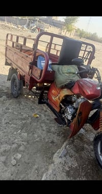 ستوته • بغداد شعلة • كفالة ديوان