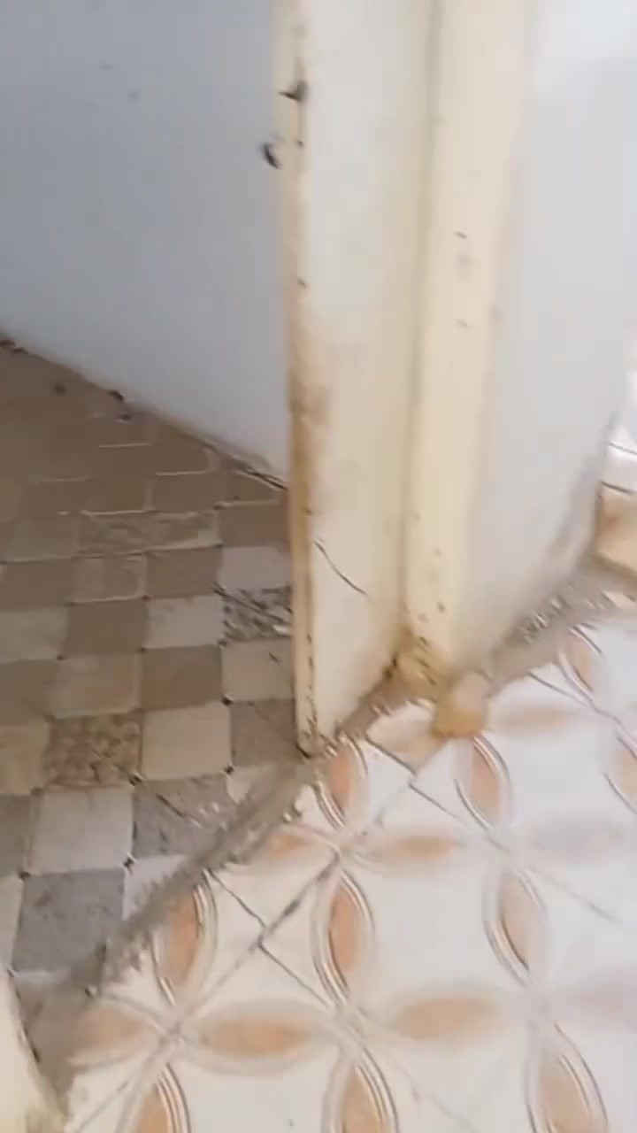 شقه للايجار الصالحيه شارع العروبه الثالثه عن الركن
غرفتين وصاله ومطبخ وصحيات 
الأيجار 250


**إذا كنت صاحب هذا الإعلان وتريد حذفه لأي سبب، رجاءا أرسل رسالة إلى الدعم الفني**