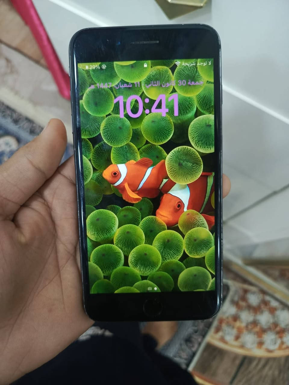 ايفون 8 بلاص.
ذاكره 256 

بطاريه 100 مستبدله اصليه 

بصمه شغاله ما مبدل اي قطعه بيه فقط بطاريه 

مراوس او بيع  سعر. 145 الف 

ناصريه الحبوبي ***********
