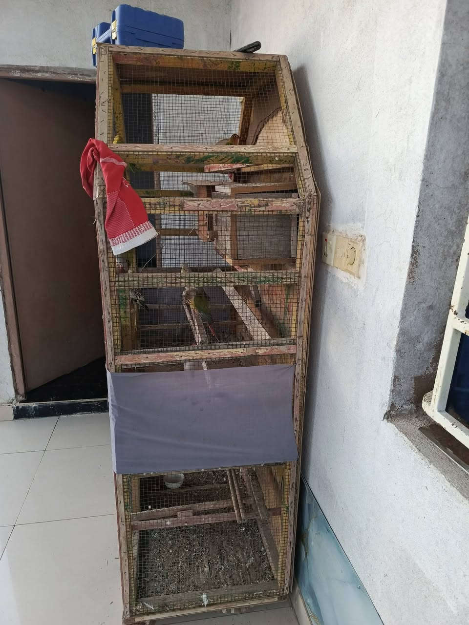 قفص خشب جبير مراوس برج مال طيور


**إذا كنت صاحب هذا الإعلان وتريد حذفه لأي سبب، رجاءا أرسل رسالة إلى الدعم الفني**