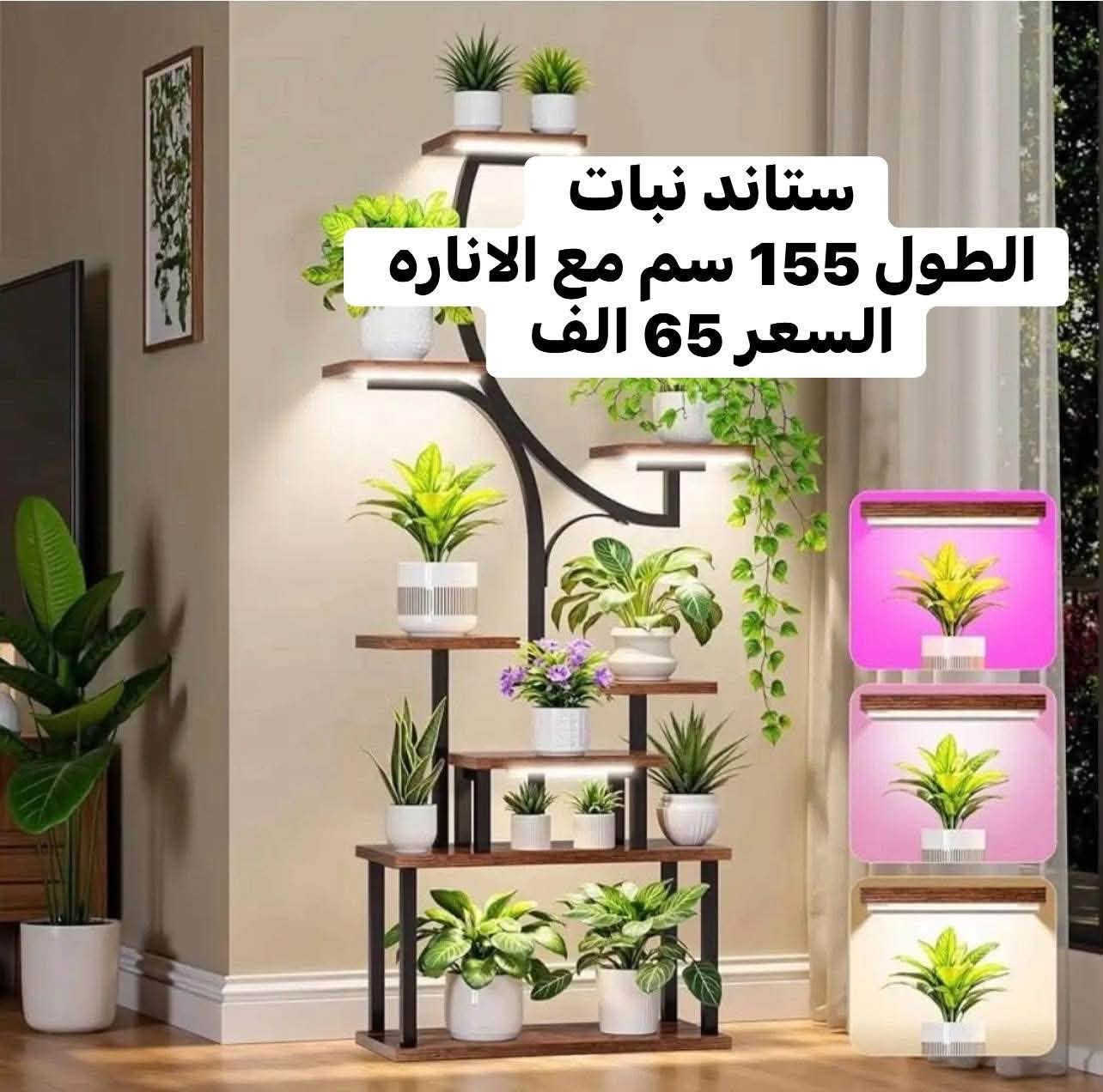 بضاعه جديد و مسويلكم بيها تخفيضات ومدلليكم 😘 
اعتمدوا الاسعار بهذا المنشور لان بيها تخفيضات 
حطمنا الاسعار وفلشناها مثل ما عودناكم ✌️
الغالي يرخصلكم  😘
وجبه جديده من البضاعه الي ما تخلص عدنا 😜
المهم من الاسعار بضاعه كوالتي كلش عالي 
بضاعه كلها جديدة وفيكات وديكور يكمل جمال بيتج 🌹
الاسعار والتفاصيل كلها مثبته ع الصور 
واي استفسار بس دز صوره المنتج واحنا نجاوبك 
يعني لا تدوخ ولا تحتار كلشي موجود 
القطع كميتها محدوده جدا 
يعني لحك واحجز قبل ما يحجزها غيرك 

متوفر توصيل بغداد 4 الف والمحافظات 5 الف 
فضلا سوي لايك ومتابعه للصفحه 🙏 واكون شاكر للكل 

المهم كل القطع اصليه وذات منشأ عالمي 
اي طلب مو نفس مواصفات المعروضه الك حق الاسترجاع 
بدون متدفع اي شي ✌️

سوي لايك ومتابعه للصفحه 😍
حتى تشوف بقيه العروض والتخفيضات 😘
للاستفسار والحجز مراسله الصفحه 
او الاتصال وتس اب بالرقم 
***********
***********
موقعنا بغداد الزعفرانيه

