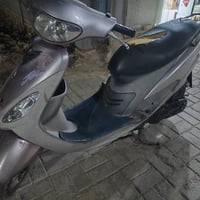 ماكس منغولي للبيع 07834805995