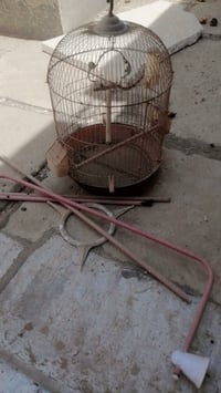 قفص • للبيع