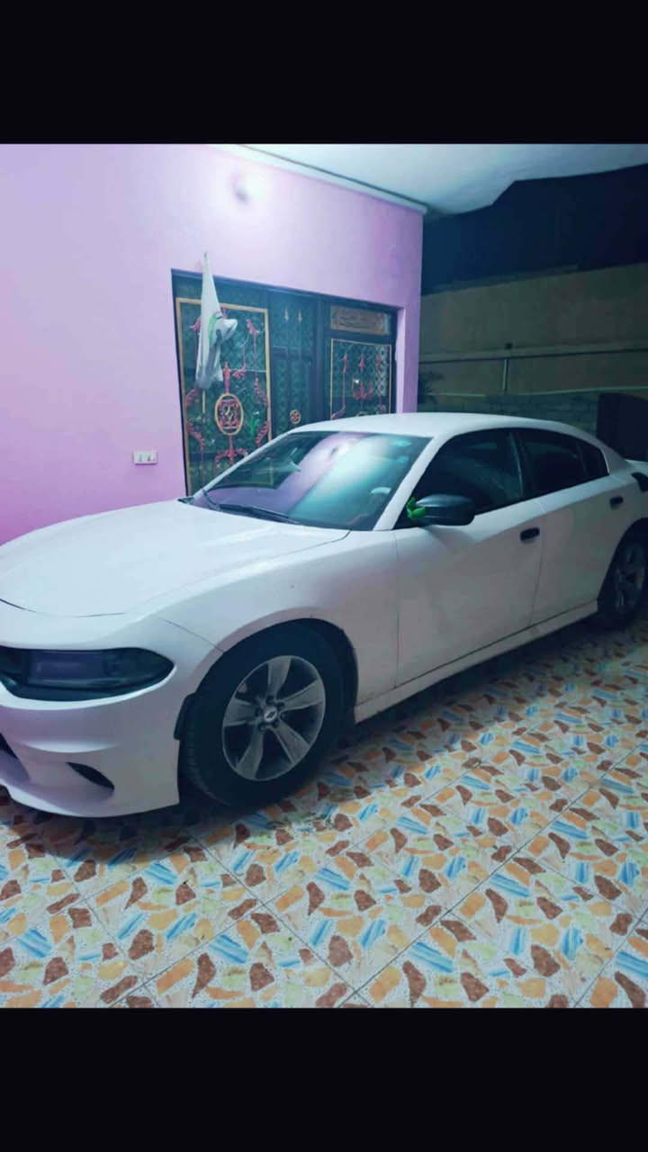 البيع 2015
جاهزه من جميع النواحي 

مال جناي مامشتقل بيه أبد 
المواصفات كدامه 
السعر 180معا المجال 
مكانه واسط الصويره 
الاستفسار أكثر ***********
