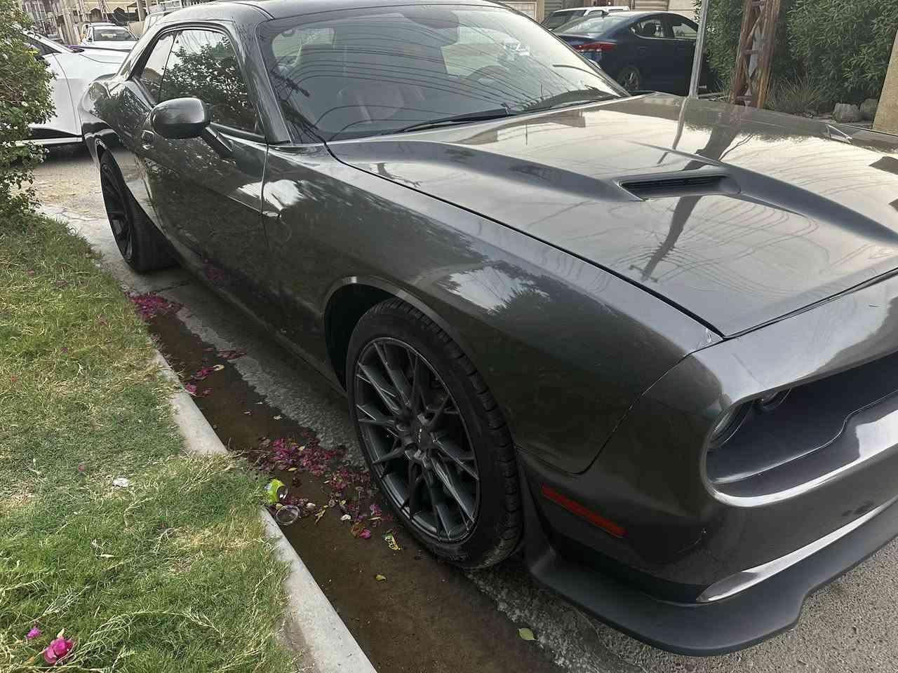 Dodge challenger sxt 2016
جالنجر 2016 ماشية 153 بيها صبغ 3 قطع بدون دواخل وجميع الايرباكات سليمة مواصفات :
‎-محرك 3600 
‎-تشغيل عن بعد
‎-بصمة تشغيل مع بصمة ابواب
‎-داخل لونين اسود مع احمر
‎-كراسي تدفئة تبريد
‎-كراسي جلد مع كهرباء
‎-ستيرن كهرباء
‎-ستيرن تدفئة
‎-شفات ستيرن
‎-دكمة سبورت 
‎-حساسات خلفية
‎-شاشة كببرة مع كامرة خلفية
‎-تبريد قطعتين منفصل
‎-ويل كب حجم 20 
سيارة جديدة جدا وجاهزه كير محرك   مكاني بغداد حي الجهاد سعر 134 وبيها شي بسيط 
***********
