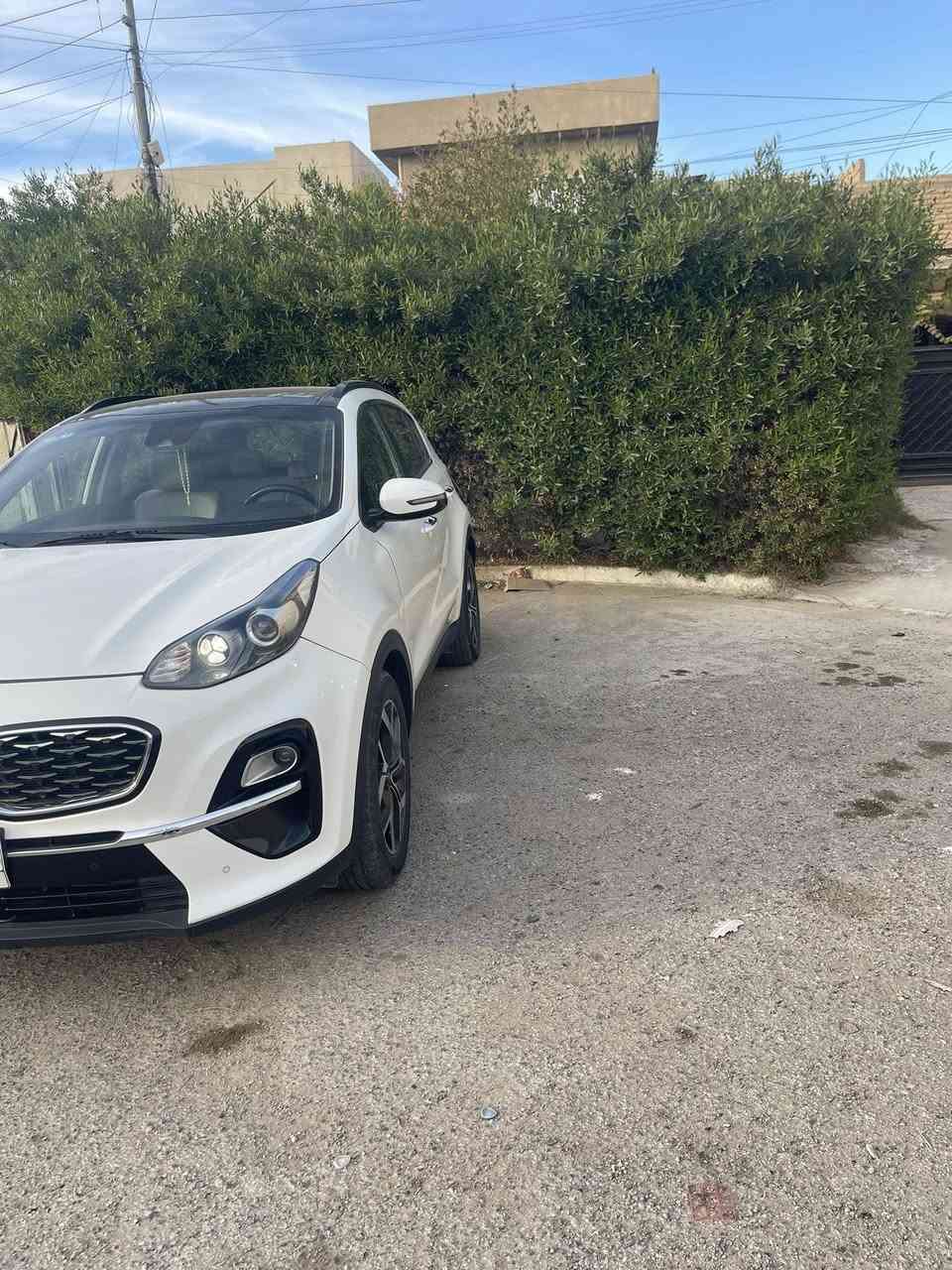 سبورتج 2021 الفول EX مواصفات بكد جي تي لان مرتين
حادث جاملغ وكصة بنيد 
ماشيه 49 الف ميل وقابل للزياده مكانها شهداء البياع  ارباك ستيرن فقط
رقم بغداد مشروع وطني

السعر عل الخاص او الاتصال 

*********** 

المواصفات
1بانوراما
2 بصمه ابواب وصندوق
3 جنطه كهرباء
4 شاشه كبيره تاب لمس
5لدات نهاري هيلوجين
6كراسي جلد
7كراسي كهرباء اثنينهن
8تحكمات فول 
9مرايه داخليه عاكسه للضوء 
10 ترحيب عند الاقتراب
11شاحن واير ليس
12هند بريك بصمه
13اوتو هولد
14 كاميرا 
15حساس امامي
16حساس خلفي
17 انضمة قيادة سبورت ايكو نورمل
18 ستيرن تدفئه 
19كشنات تدفئه وتبريد 
20 سستم صوت دمام هارمن حته بل دشبول وصندوك دمام
21 محرك 2400
22 جي بي اس 
23 تبريد قطعتين ثلج منفصل
24 حساس لايت واطارات
25شاشه صغيره لعرض لعطلات
26ويل كب 18 
27رادار امامي وكاميرا تحديد مسار
28 رادارات خلفيه نقطه عمياء
29 مري شفط واشاير مري

وبعد هواي مواصفات ماتحضرتي وبل عافيه عل مشتري واسف عل اطاله اضن كلشي واضح وكلشي مكتوب
