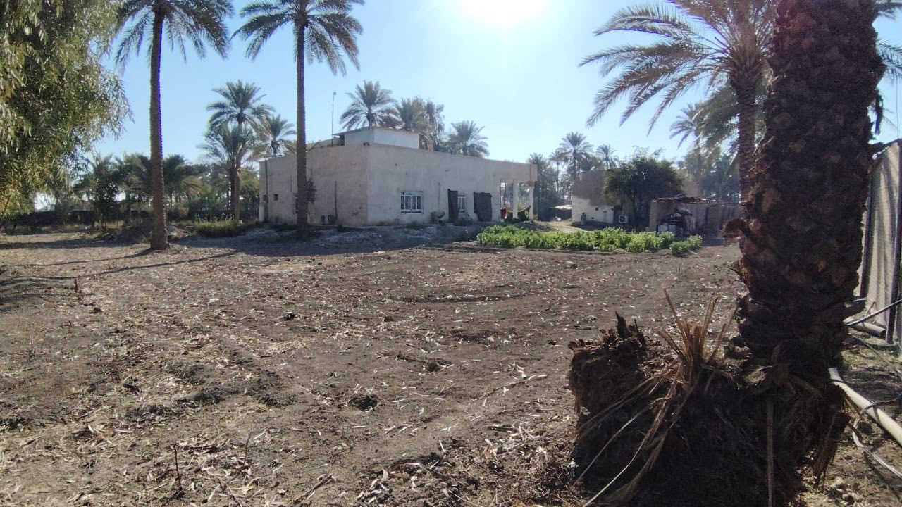 ارض زراعية للبيع سند ٢٥
مساحتها ٣دوانم ونص🌴🌴🌴🌴
تتكون الارض من بيتين 🏠🏠
و ايضاً تتوفر فيها جميع الخدمات السكنية …

#الموقع :بابل قضاء المحاويل قرية البعلوان شارع ابو طيارة قرب مدرسة العروبة ..

## للاستفسار اكثر او معرفة السعر يرجى الاتصال او مراسلتنا على الارقام التالية او زيارة مكتب عقارات أراضي المحاويل الكائن في قضاء المحاويل حي ١٧قرب مقهى الصياد القديم ""
*********** /*********** ابواسد
