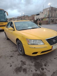 وردي مريكي • ٢٠٠٧ • كوت