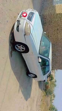 شيري كوين • ٢٠١٠ • ذي قار شطره