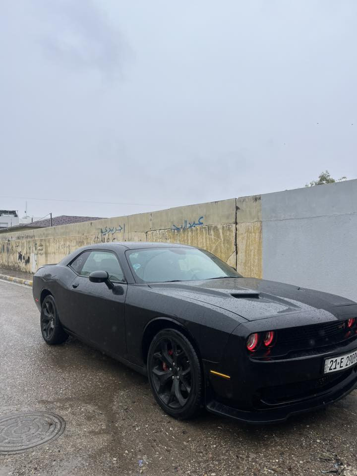 جالنجر 2016 sxt
***********
