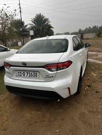 بسم الله الرحمن الرحيم سلام عليكم كورلاه امريكي موديل٢٣ضررهه بس جاملق ...