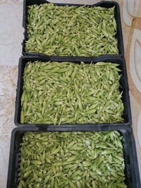 بنات • توصيل • حجز خاص