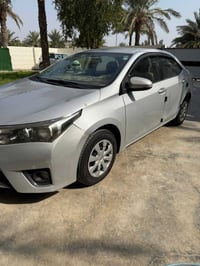 كورله • ٢٠١٥ • رقم اربيل