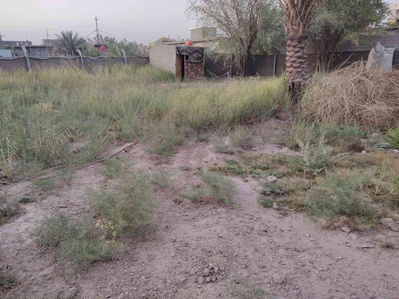 السلام عليكم قطعه أرض للبيع مساحه ٤٠٠ قطع البو مشتاق قريب حي ابو أسد ابي غرق مقابل مركز الشرطه للاستفسار اتصال على رقم ***********
