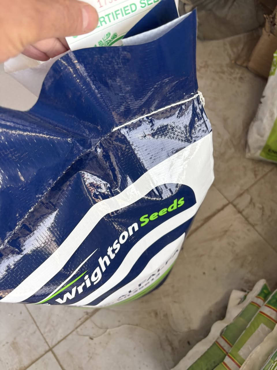 السلام عليكم 
يتوفر بذور جت استرالي الصنف الفاً سلفر من شركة pGGالاسترالية ملائم للأجواء العراقية  بغداد التاجي ***********
