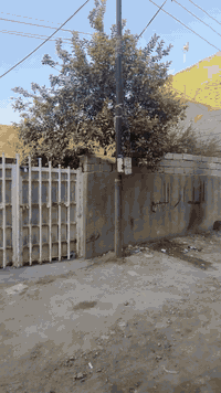 الحله عنانه • ٢٨٠م • ٣ غرف