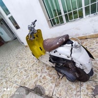 عبد الحليم للبيع بسعر(75)الف الهاتف/07807934068