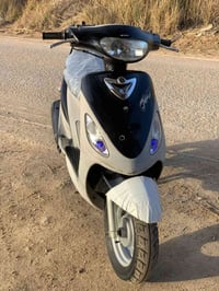 ماكس منغولي • ستوته • كفالة