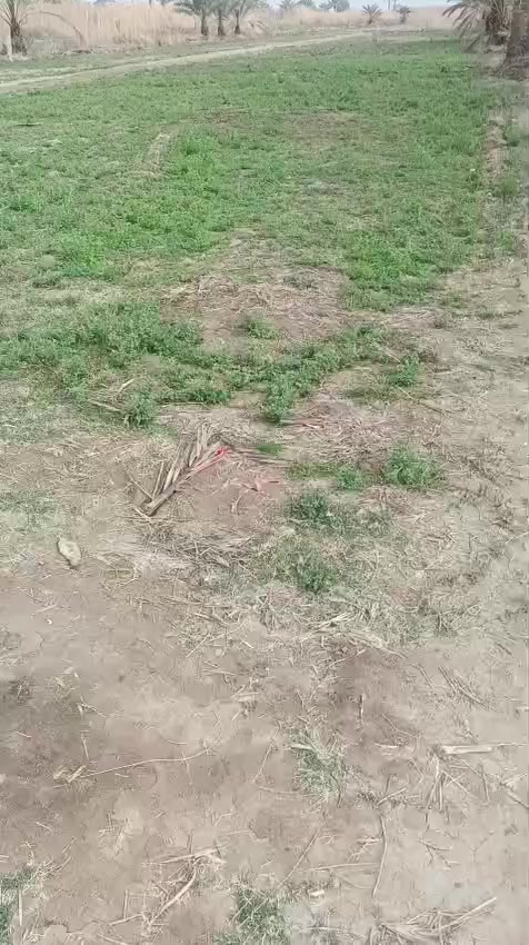 #دونمين طابو زراعي سند 25 
سند #مستقل #منفرد باسم شخص #واحد 
#كربلاء #طويريج #ناحية #الخيرات 
للعرض والاستفسار
‏‪***********‬‏
