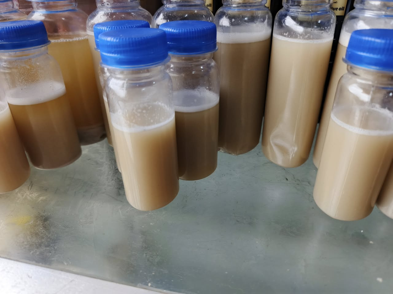 محل راشي يوسف
حسنكوي /قرب مرطبات بيروت

يوجدلدينا زيت السمسم . زيت زيتون 

  فوائد زيت السمسم 

1.للشعر: يرطب الشعر ويقويه، ويقلل من تساقطه.

2.للبشرة: يرطب البشرة ويقلل من التجاعيد، ويعالج حب الشباب.

3.لصحة القلب: يحتوي على دهون غير مشبعة تساعد في خفض الكولسترول الضار.

4.مضاد للأكسدة: يحتوي على مضادات أكسدة تحمي الجسم من الأمراض.

 5.لتخفيف الألم: يستخدم كمرهم لتخفيف آلام العضلات والمفاصل.

***********

***********
