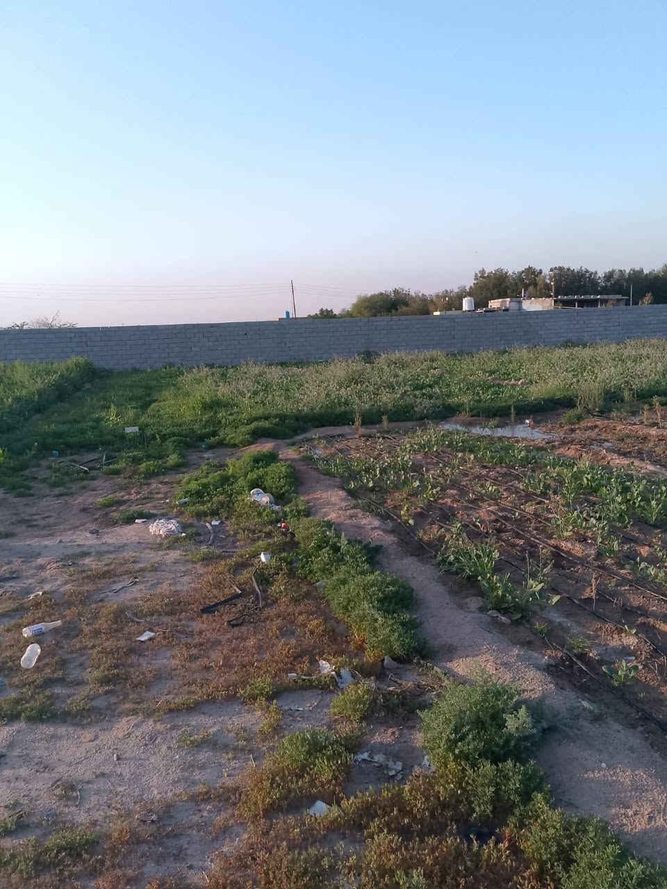 دونم للبيع ع طريق خور سفان يبعد عن الشارع 100متر مسيج بي ارسي ومزروع خضره الكهرباء واصله باب المزرعه السعر 25وبي مجال البصرة, العراق


**إذا كنت صاحب هذا الإعلان وتريد حذفه لأي سبب، رجاءا أرسل رسالة إلى الدعم الفني**